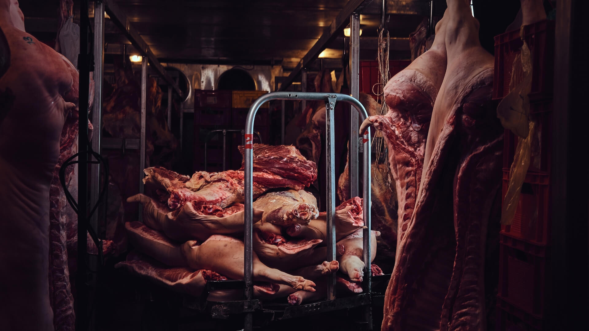 Slaughterhouse Blues